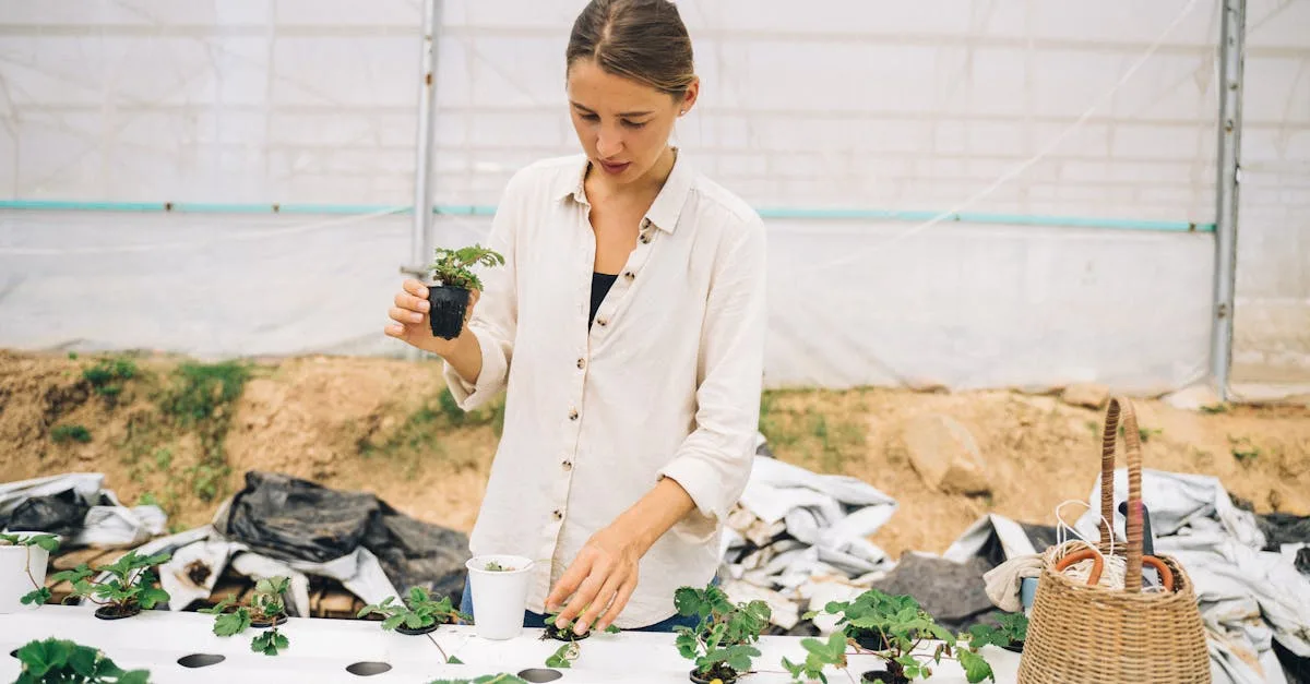 découvrez l'aquaponie, une méthode durable combinant l'aquaculture et l'hydroponie pour cultiver des plantes et élever des poissons de manière écologique et efficace.