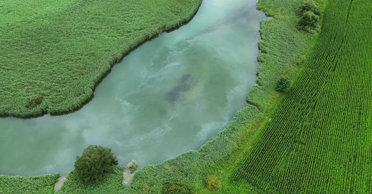découvrez le cycle de l'azote, un processus essentiel qui décrit le mouvement et la transformation de l'azote dans l'environnement, vital pour la vie sur terre.