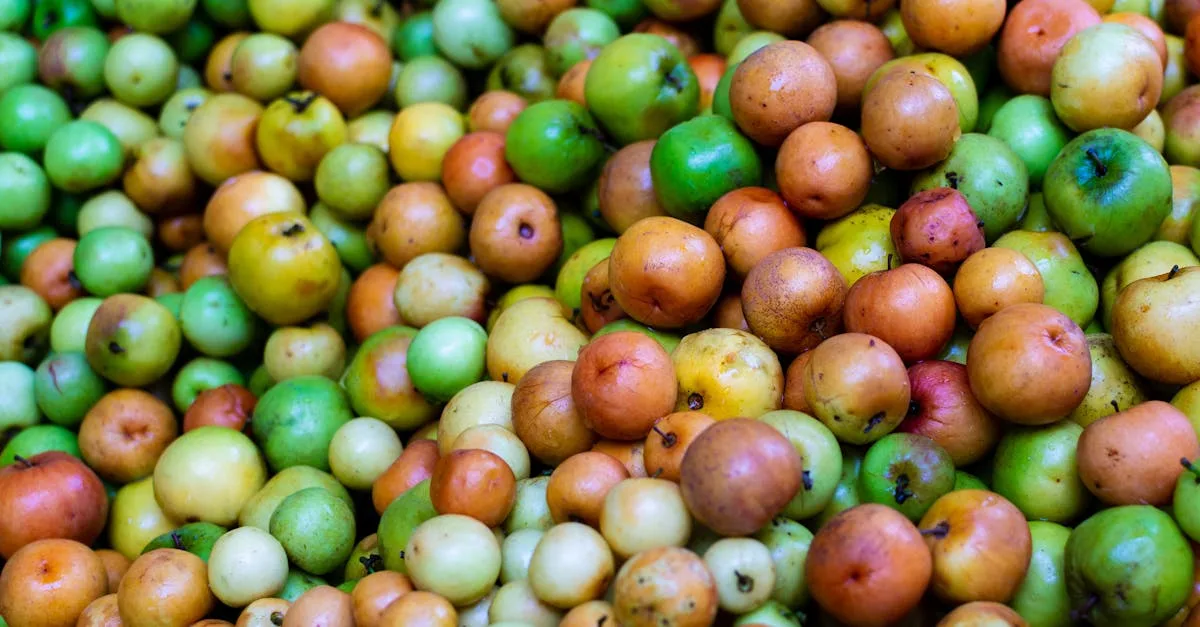 découvrez une liste de fruits dont le nom commence par la lettre n, parfaits pour enrichir votre alimentation et découvrir de nouvelles saveurs.