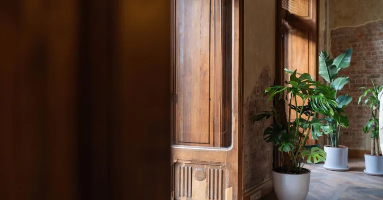 découvrez les conseils essentiels pour l'entretien des plantes avec ceriman plant care. astuces, soins et guides pour des plantes saines et éclatantes.