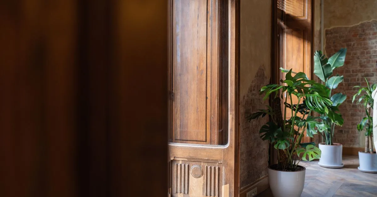 découvrez les conseils essentiels pour l'entretien des plantes avec ceriman plant care. astuces, soins et guides pour des plantes saines et éclatantes.