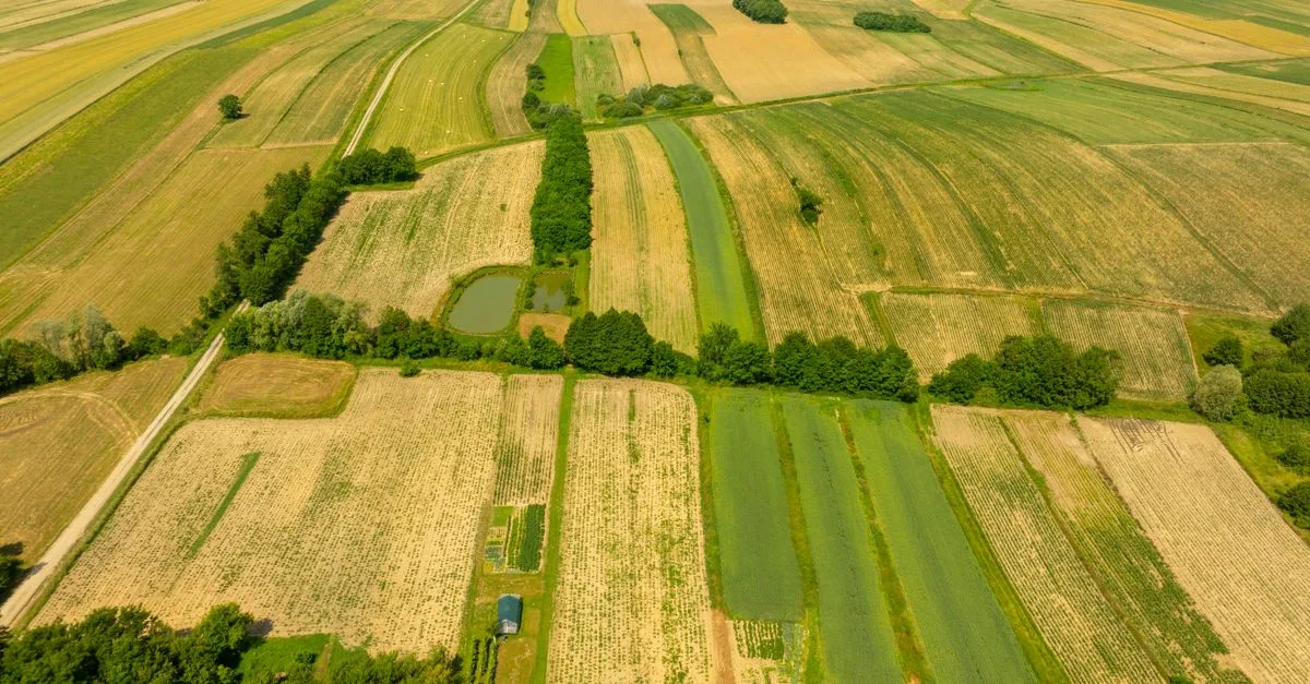découvrez l'agriculture écologique, une approche durable qui respecte l'environnement tout en favorisant la biodiversité et la qualité des sols.