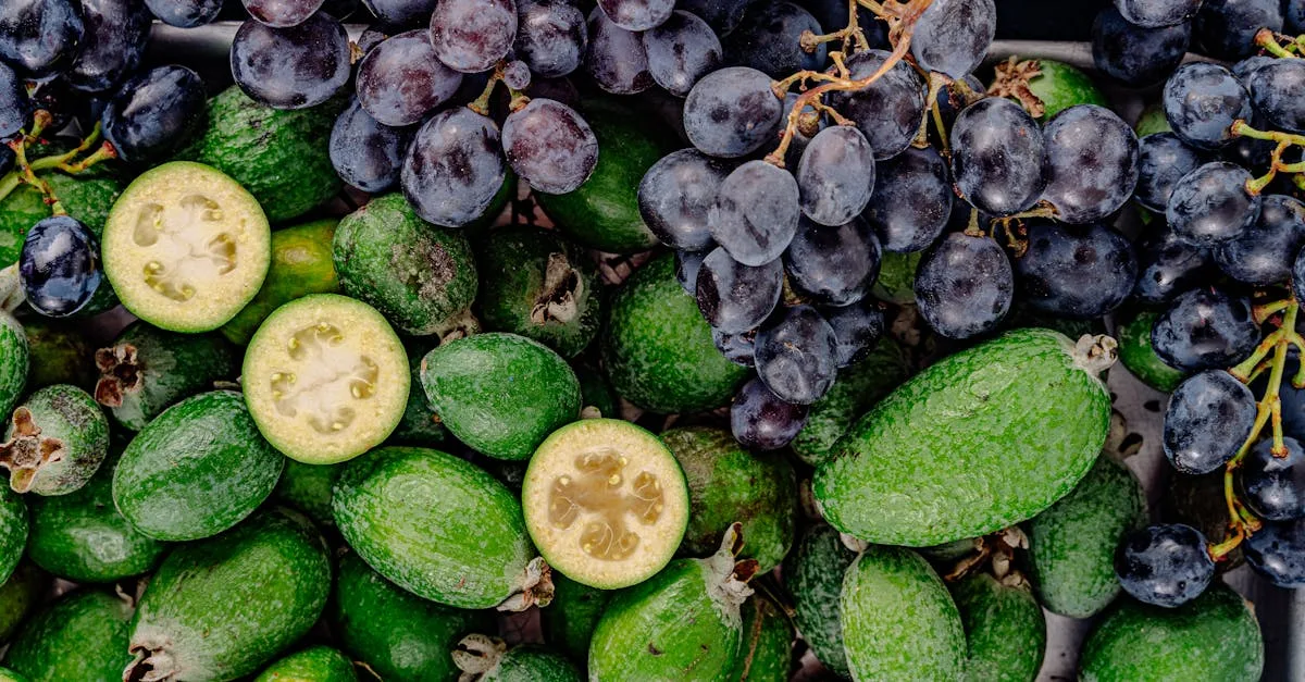 découvrez une sélection variée et savoureuse de fruits frais, riches en vitamines et parfaits pour une alimentation saine et équilibrée.