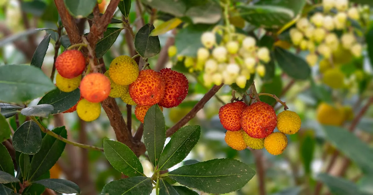 découvrez une liste complète de fruits commençant par la lettre a, avec leurs bienfaits et façons de les consommer.