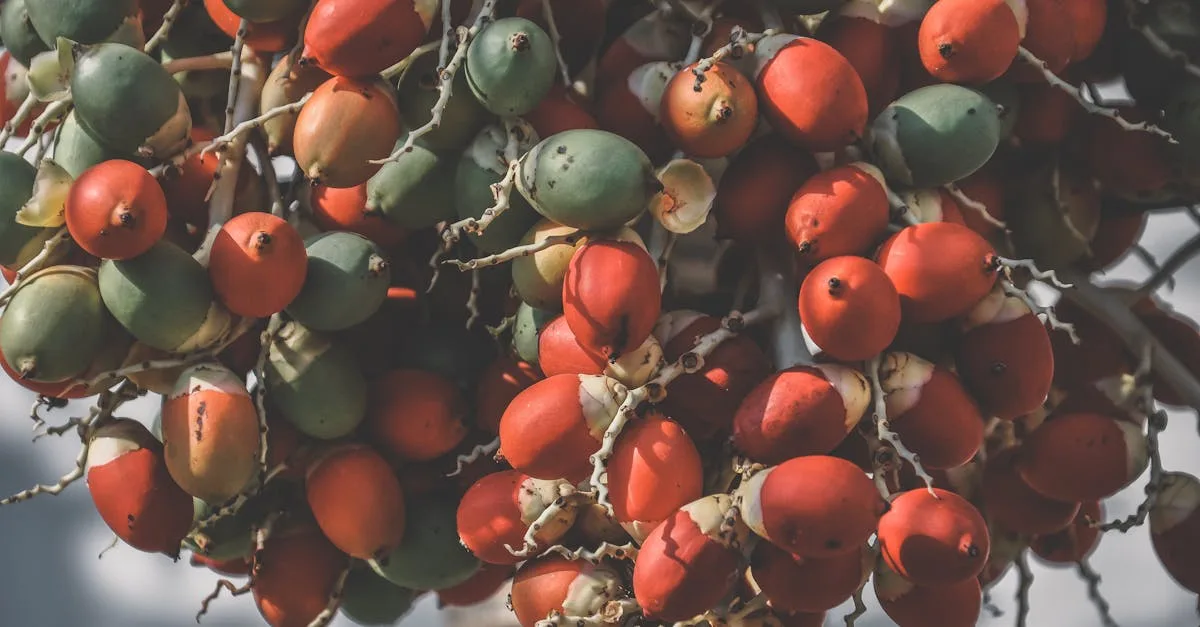 découvrez une liste de fruits commençant par la lettre g, idéale pour enrichir votre vocabulaire et vos connaissances culinaires.