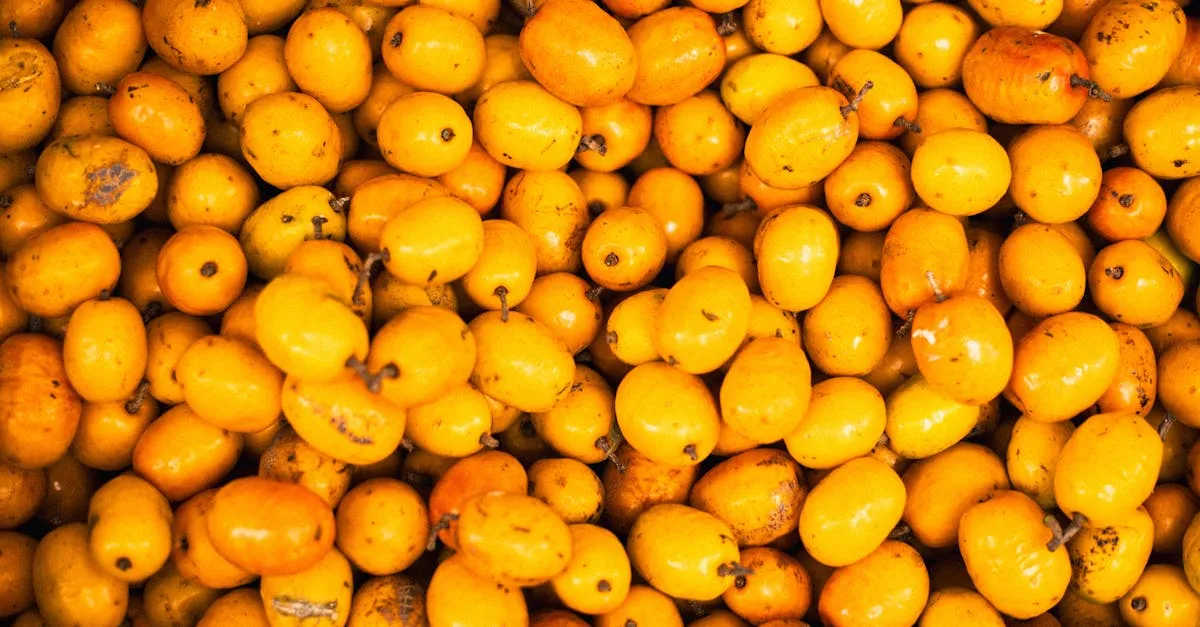 découvrez une liste de fruits commençant par la lettre i, leurs caractéristiques, bienfaits et utilisations culinaires.