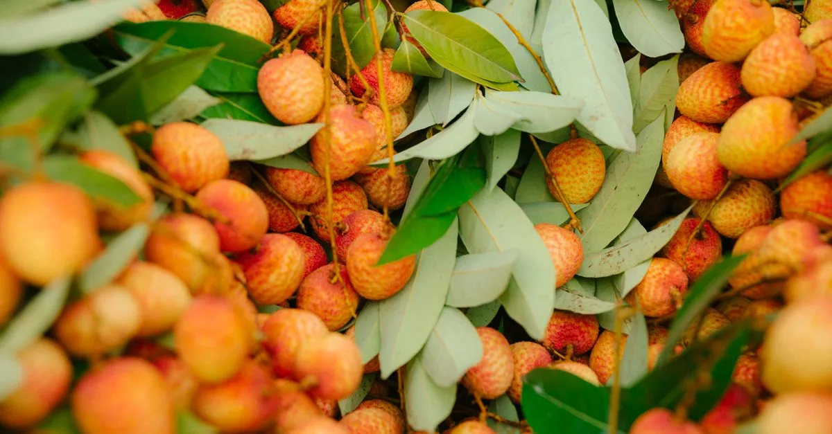 découvrez une liste de fruits dont le nom commence par la lettre l, incluant leurs bienfaits et utilisations culinaires.