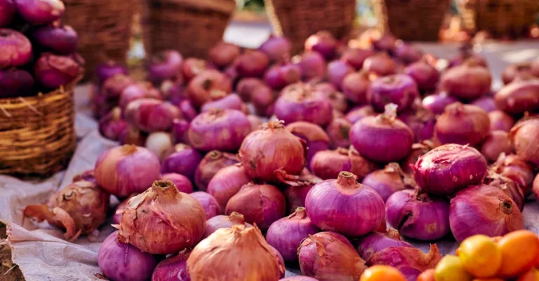 découvrez tout sur les légumes : leurs bienfaits, variétés et conseils pour une alimentation saine et équilibrée.