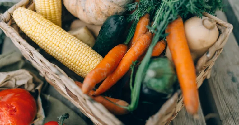 découvrez une variété de légumes frais et savoureux, parfaits pour une alimentation saine et équilibrée.
