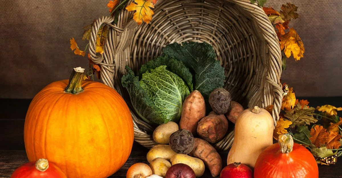 découvrez une variété de légumes frais et savoureux pour une alimentation saine et équilibrée.
