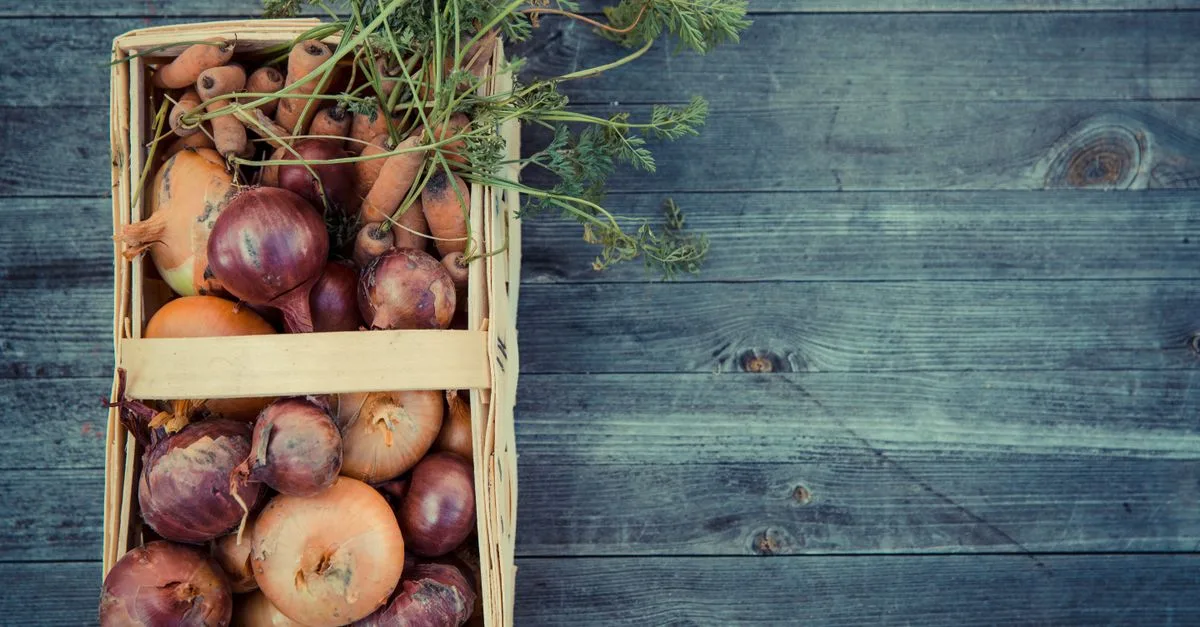découvrez notre large sélection de légumes frais et de saison, idéals pour une alimentation saine et équilibrée.