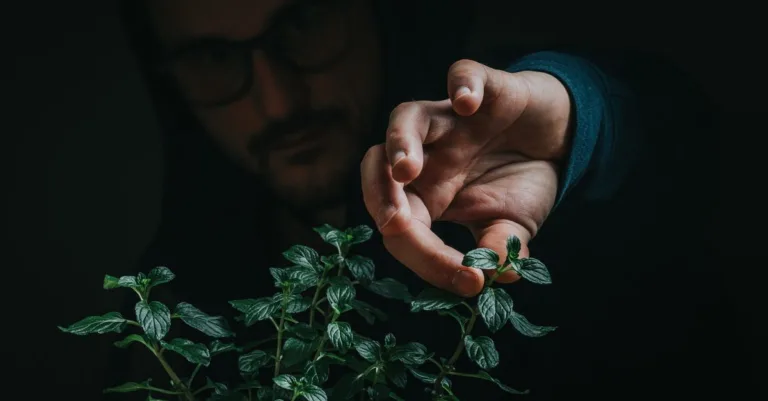 découvrez les superstitions populaires liées aux plantes, leurs significations et comment elles influencent nos coutumes et croyances.